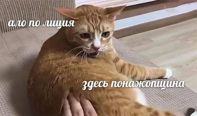 Смешные скрины из соцсетей #61