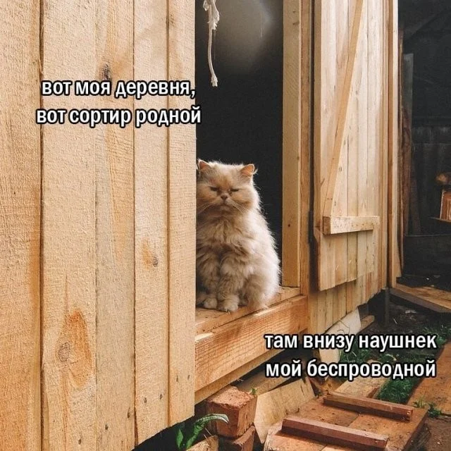 Смешные скрины из соцсетей #61