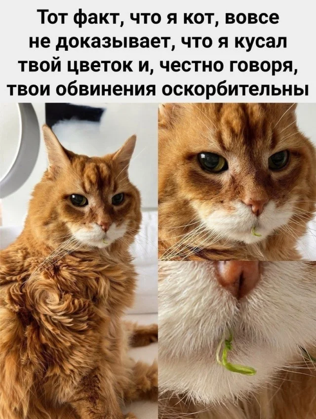 Смешные картинки! Смотрим!
