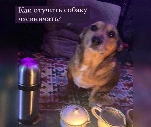 Смешные скрины из соцсетей #61