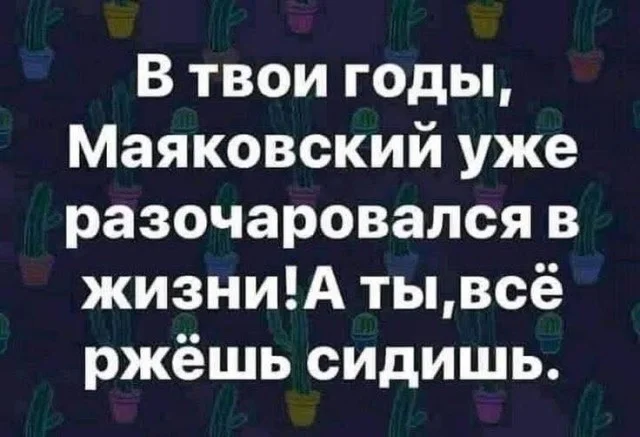 Зашел и улыбнулся!
