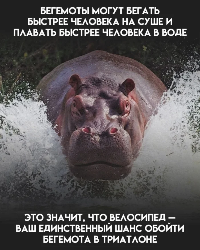 Нестандартный юмор #384