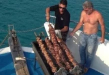 Держите смешнявки