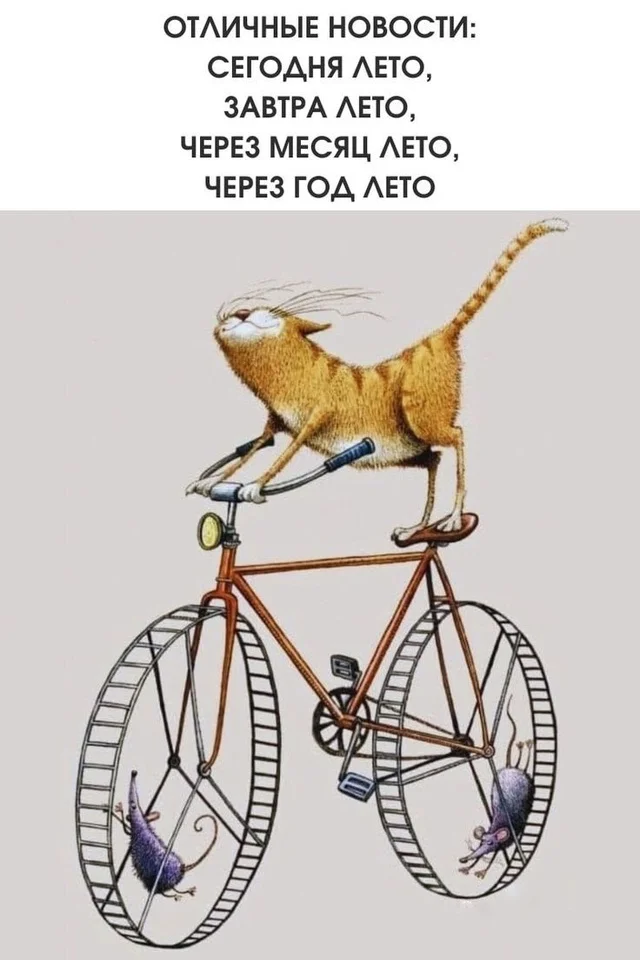 Весело и смешно!