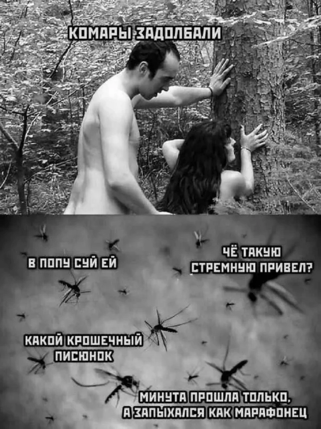 Кайфовые картинки