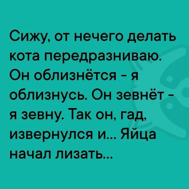 Смешные картинки! Смотрим!