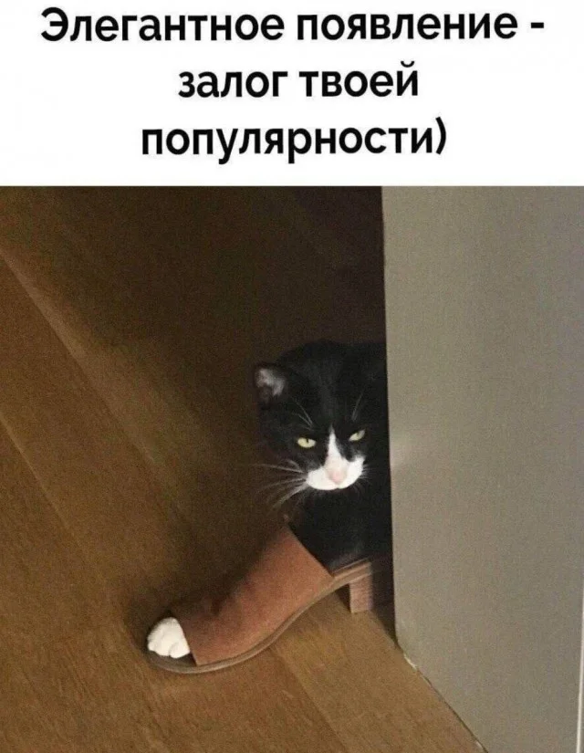 Очень весело