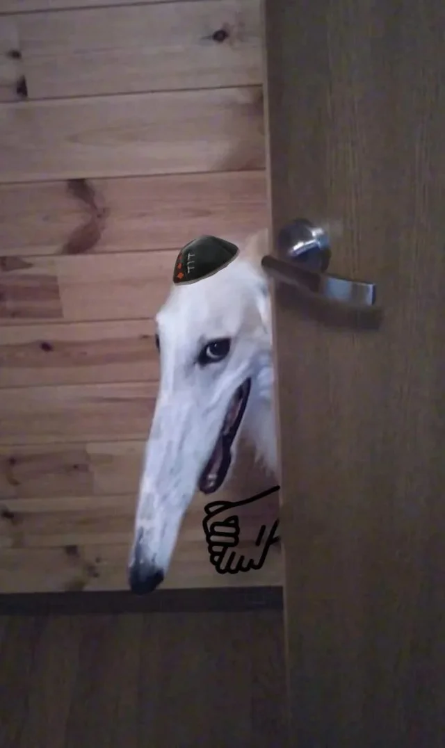 Халявные баяны