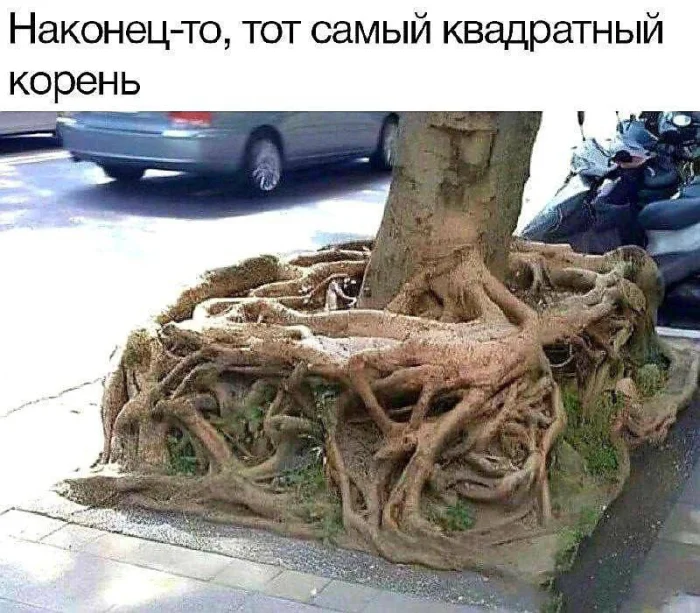 Нестандартный юмор #394