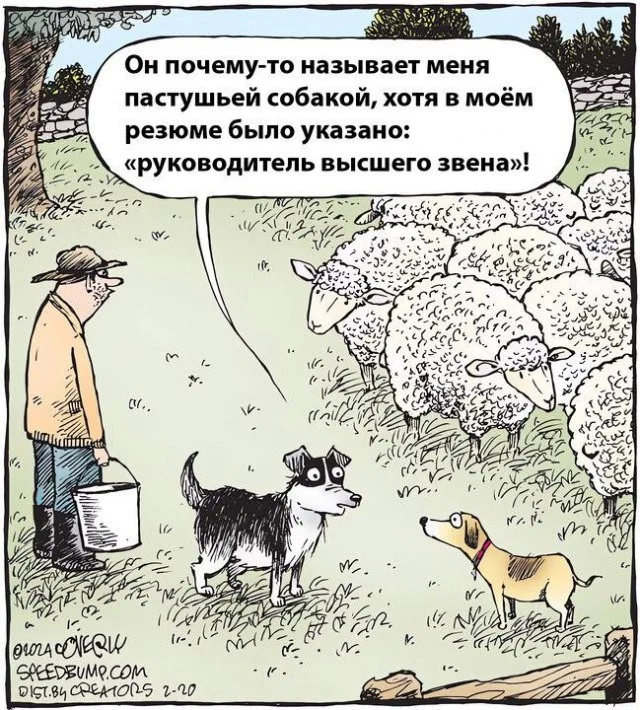 Смешные скрины из соцсетей #58