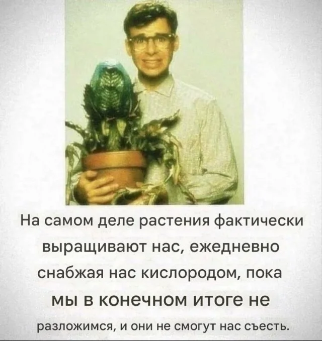 Кино-мемы
