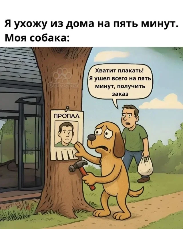 Зашел и улыбнулся!