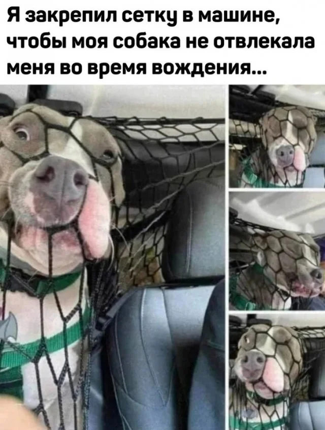 Получается реально прикольные картинки