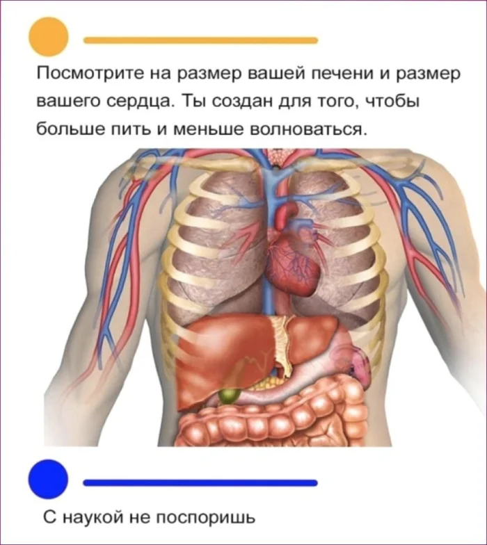 Нестандартный юмор #401