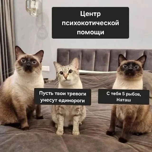 Получается юмор подъехал