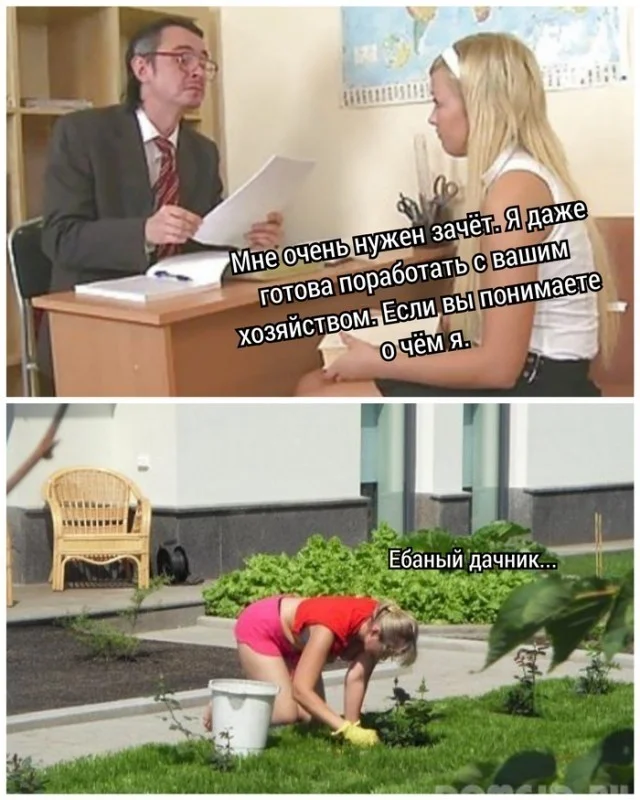 Веселая дичь