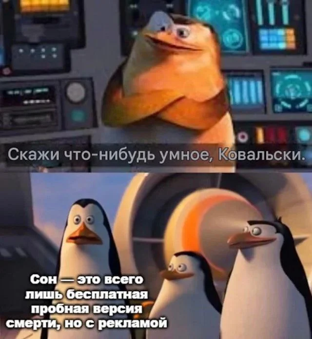 Нестандартный юмор #391
