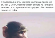 Как же это свежо и смешно!