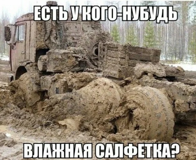 Реально прикольные картинки