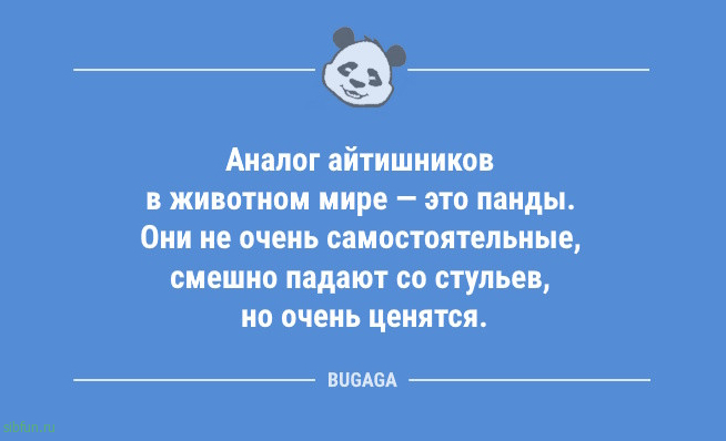 Анекдоты для хорошего настроения: «Если детские шампуни не щиплют глазки…» 