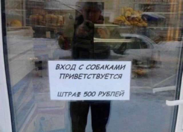 Смешнявки дня