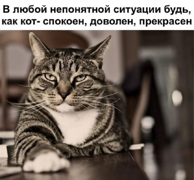 Свежие картинки для настроения!