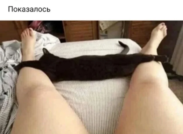 Реально прикольные картинки