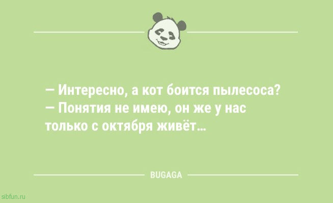 Анекдотов порция: «У меня на работе…» 