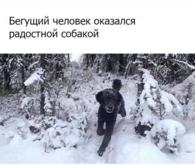 Смешные скрины из соцсетей #66