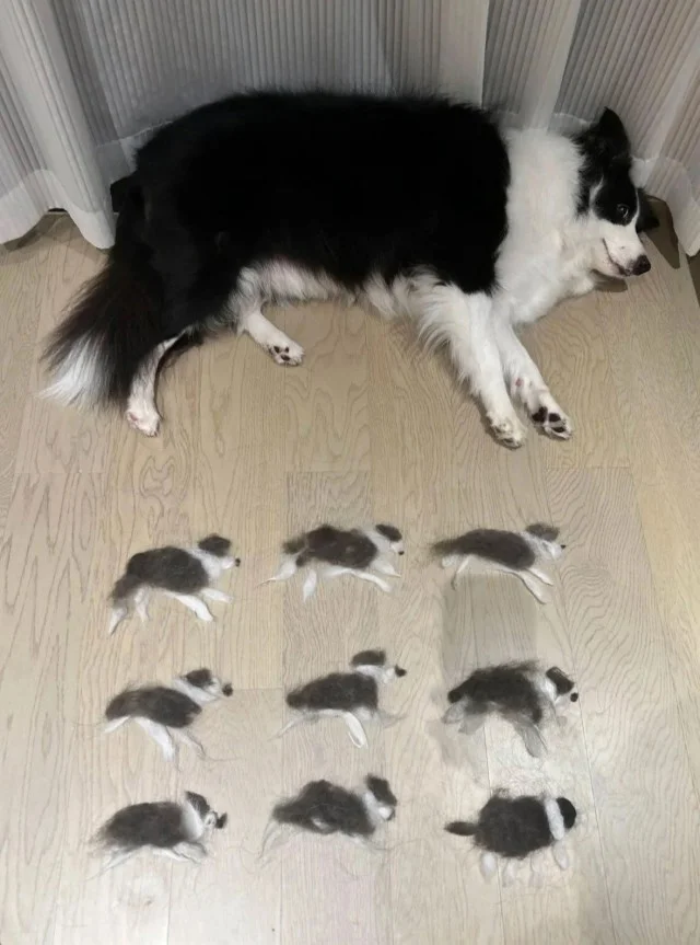 Смешнявки дня