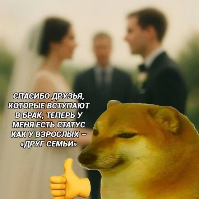 Смешные скрины из соцсетей #68
