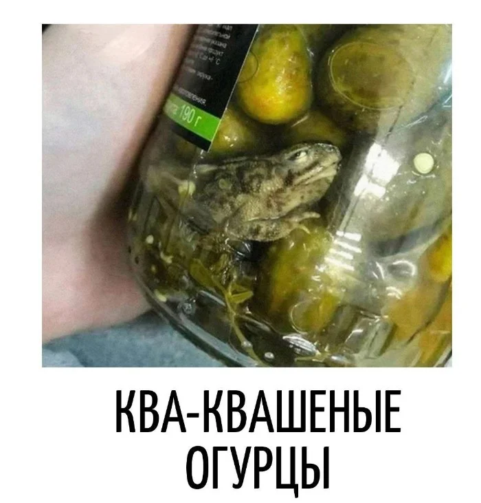 Игра слов #91