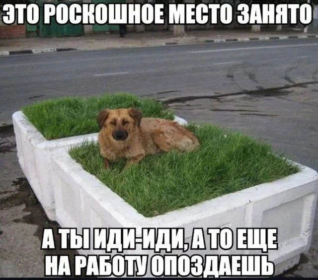 Нестандартный юмор #404 Нестандартный юмор #404