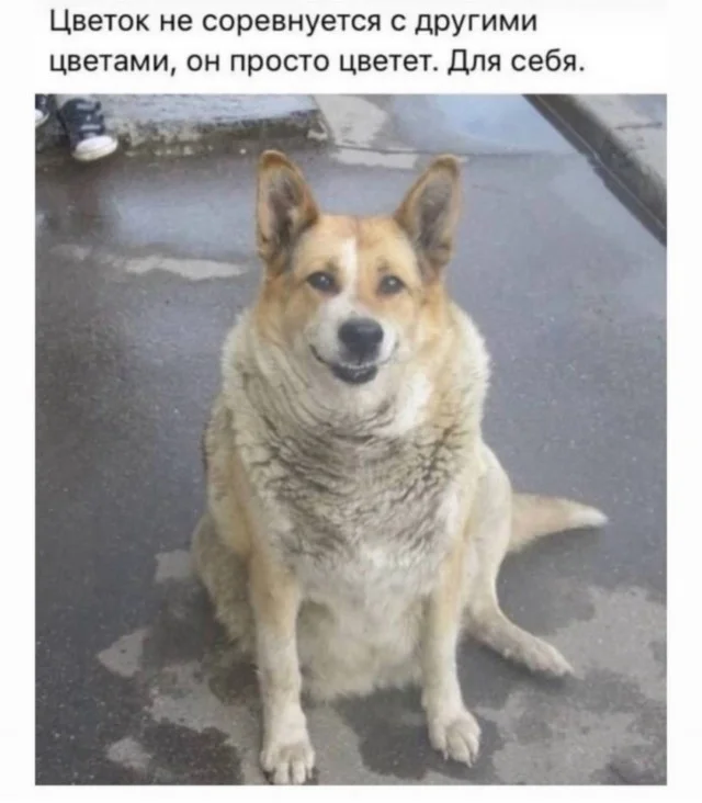 Картинкофф