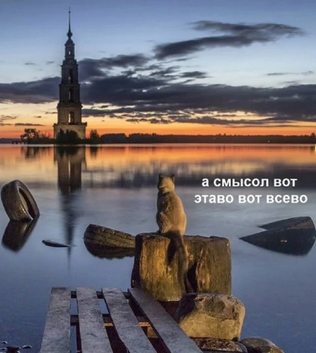 Реально прикольные картинки