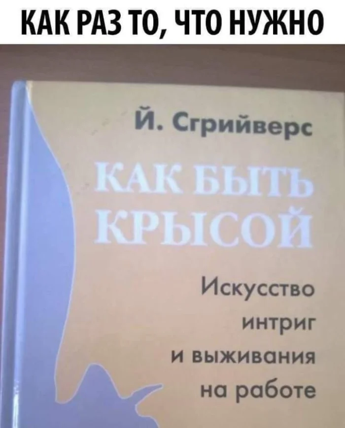 Библиотека сумасшедшего профессора 3