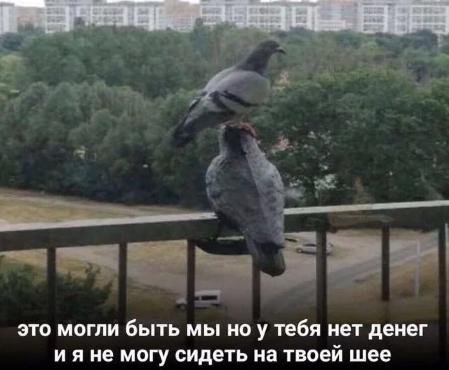 Смешные скрины из соцсетей #67