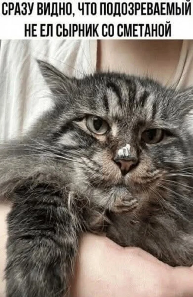 Реально прикольные картинки