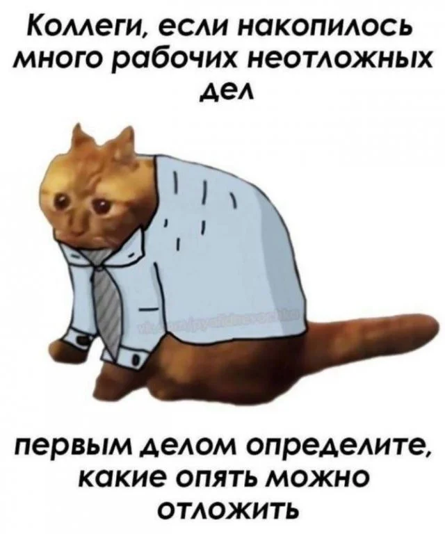 Смешные скрины из соцсетей #68