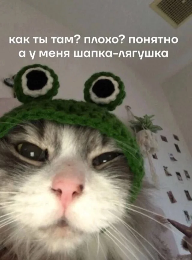 Смешные скрины из соцсетей #67