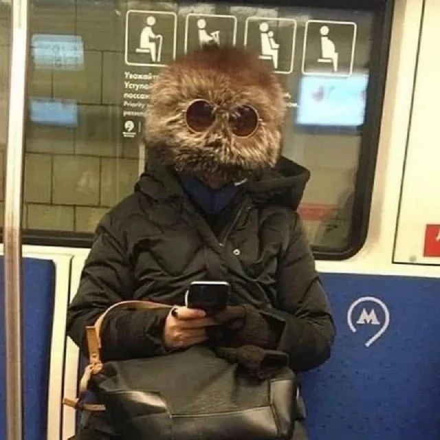 Смешнявки дня