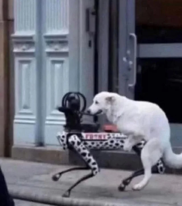 Ещё классных приколов