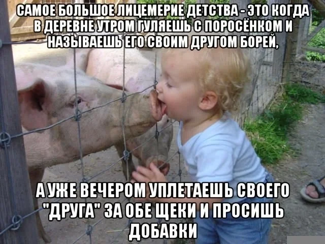 Хорошенько деградируем