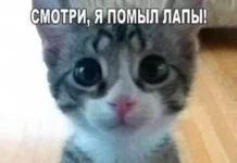 Отлично и классно: приколы