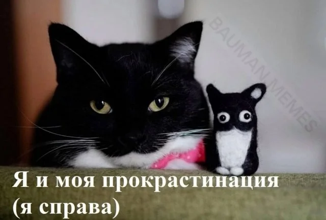 Смешные скрины из соцсетей #67
