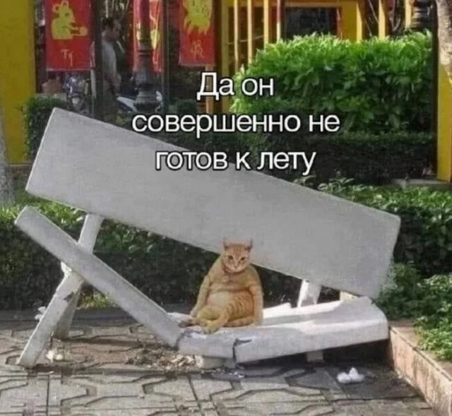 Смешные скрины из соцсетей #66