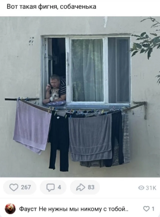 Реально прикольные картинки