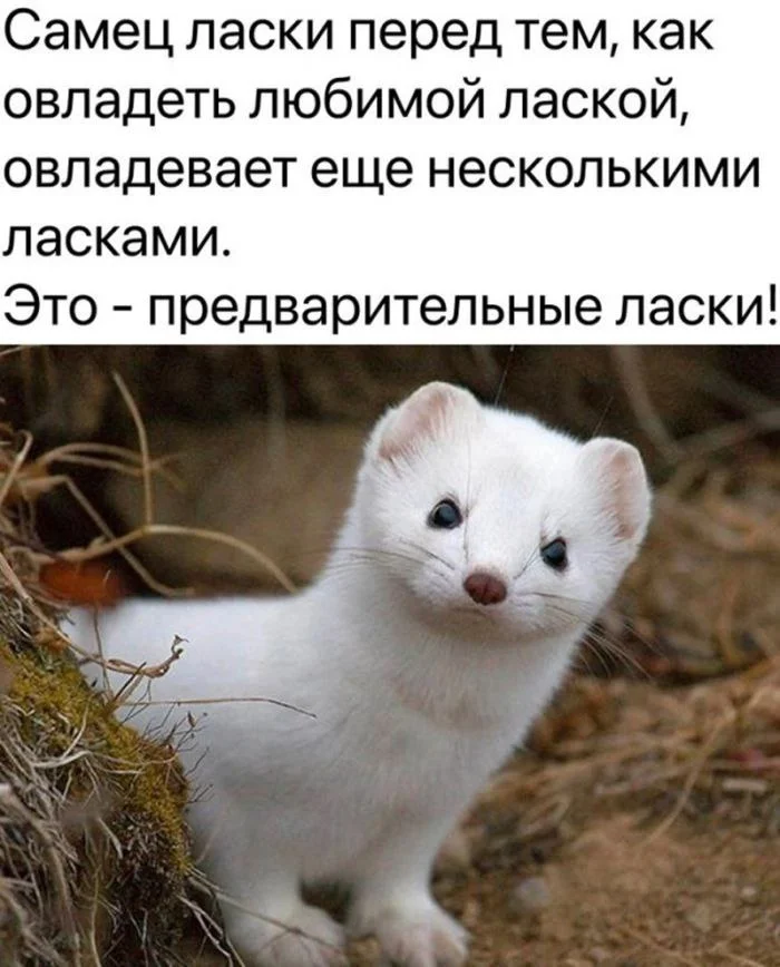 Нестандартный юмор #402