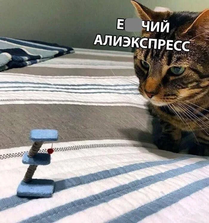 Нестандартный юмор #408 Нестандартный юмор #408