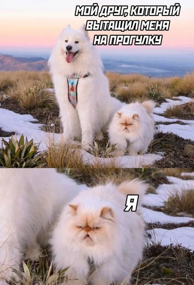 Свежие картинки для настроения!